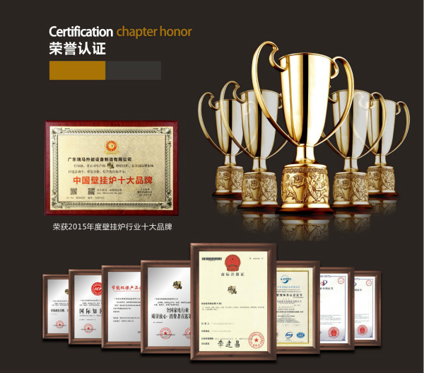 瑞馬燃氣壁掛爐，“代”您開創億萬富豪44